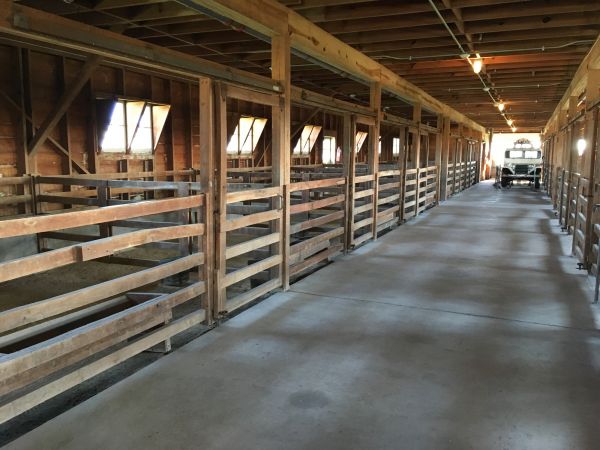 Barn Slab Construction in Corpus Christi