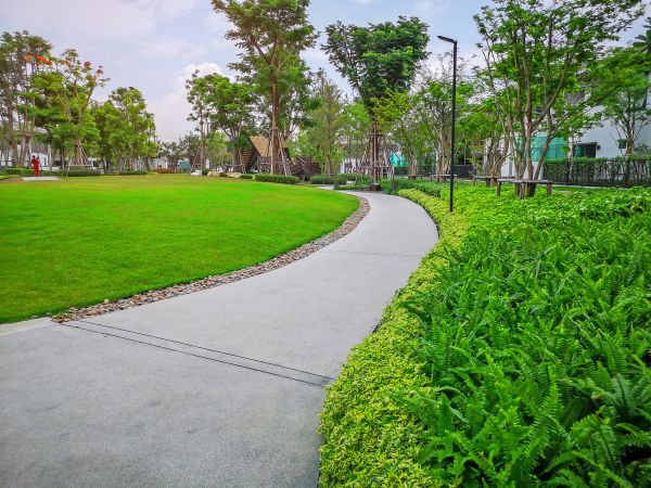 Cement Walkway Service in Corpus Christi