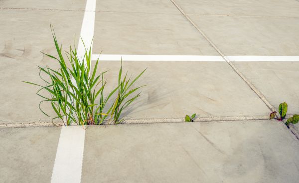 Concrete Parking Installation in Corpus Christi