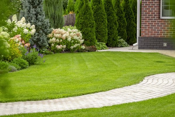 Landscape Walkway Installation in Corpus Christi